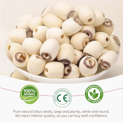 Baihuatang Natural Lotus Seeds for Tea Porridge Natural Dried White Lotus Seeds (Lian Zi) - 300g Herbal Tea & Cooking Ingredient, Perfect for Porridge, Soup, and Traditional Recipes 莲子 百合银耳莲子羹原料