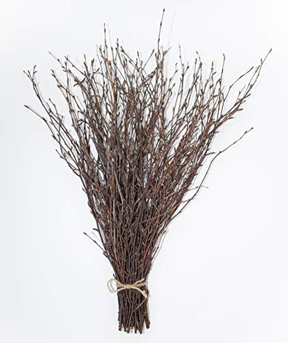 ECOVENIK - 50 psc. Birch Twigs – 100% Natural Decorative Branches for Vases, Centerpieces & DIY Crafts – Birch Sticks for Decorating (16-18 Inch) - size: 50 psc - brown