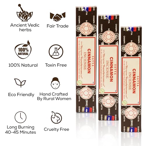 Satya Cinnamon Incense Sticks, Satya Bng (Bangalore) Insenses 15gmx12 Pack with Raajsee Incense Holder Bundle, Satya Nagchampa Natural Incense - color: Cinnamon