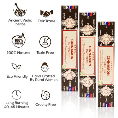 Satya Cinnamon Incense Sticks, Satya Bng (Bangalore) Insenses 15gmx12 Pack with Raajsee Incense Holder Bundle, Satya Nagchampa Natural Incense - color: Cinnamon