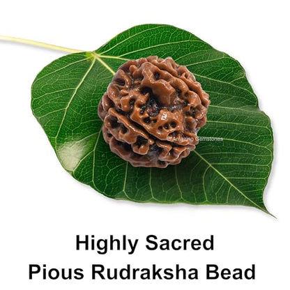 Amazing Gemstone Authentic 5 Mukhi Rudraksha Bead – Natural Nepali Rudraksha for Meditation, Prayer, Protection, Chakra Healing, and Spiritual Growth - color: 5 Mukhi