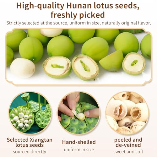 Baihuatang Natural Lotus Seeds for Tea Porridge Natural Dried White Lotus Seeds (Lian Zi) - 300g Herbal Tea & Cooking Ingredient, Perfect for Porridge, Soup, and Traditional Recipes 莲子 百合银耳莲子羹原料