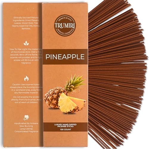 Pineapple Incense Sticks - Pack of 100 Insence-Sticks - Inciensos Aromaticos para La Casa - Natural Non Toxic Inscents - Scented Insense Incents Incence - color: Pineapple