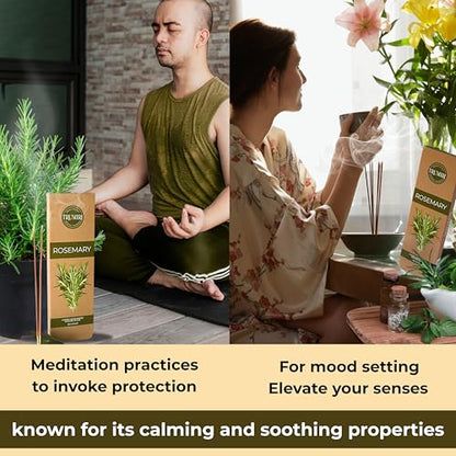 Rosemary Incense Sticks - Pack of 100 Inscents-Sticks Inciensos Aromaticos - Made with Natural Essential Oil - Scented Insence Non Toxic Agarbatti Incents - color: Rosemary