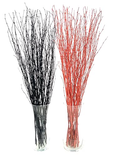 ECOVENIK - 25 psc - Black Birch Branches - 73 cm, Natural Birch Twigs, Pack of 20-25 Stems, Long for Floor vases, 29 inch (Black) - size: 25 psc - black