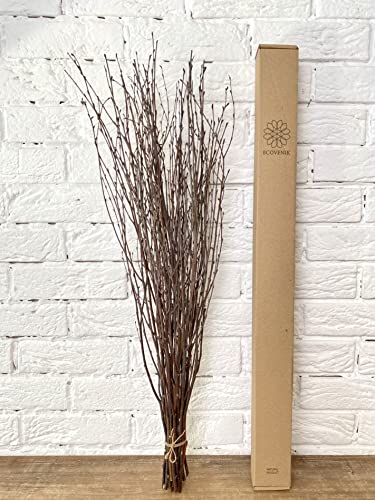 ECOVENIK 25 psc - Branches - 73 cm, Natural Birch Twigs, Pack of 20-25 Stems, Long for Floor vases, (Natural-Brown Color ) - size: 25 psc - brown