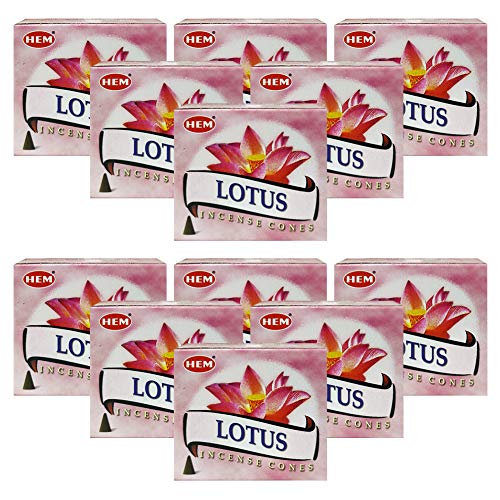 Lotus Incense Cones and Cone Incense Burner Bundle Insence Insense Hem Incense - color: Lotus