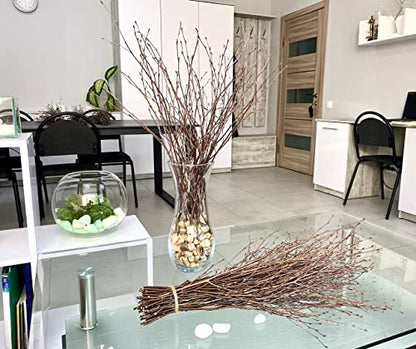 ECOVENIK - 100 psc - Decorative Branches for Vases, Centerpieces & DIY Crafts – Sticks for Decorating ( Brown) - size: 100 psc - brown