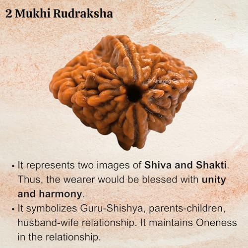 Amazing Gemstone Authentic 2 Mukhi Rudraksha Bead – Natural Nepali Rudraksha for Meditation, Prayer, Protection, Chakra Healing, and Spiritual Growth - color: 2 Mukhi