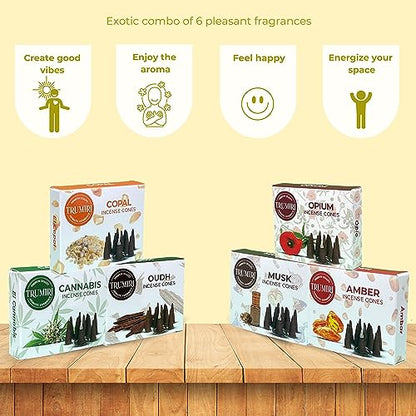 TRUMIRI Exotic Incense Cones - Variety Pack - Total 60 Cone Incense (6 Scents x 10 Conos) - Copal, Oud, Musk, Amber - Cone Incense Scents - Insense Cones - Incent Cone - color: Exotic