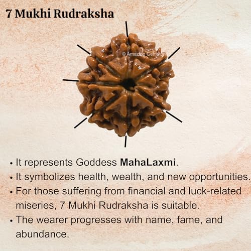 Amazing Gemstone Authentic 7 Mukhi Rudraksha Bead – Natural Nepali Rudraksha for Meditation, Prayer, Protection, Chakra Healing, and Spiritual Growth - color: 7 Mukhi
