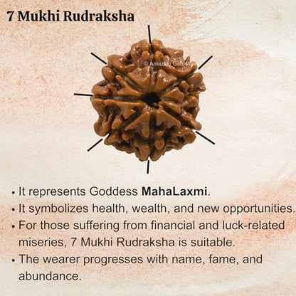 Amazing Gemstone Authentic 7 Mukhi Rudraksha Bead – Natural Nepali Rudraksha for Meditation, Prayer, Protection, Chakra Healing, and Spiritual Growth - color: 7 Mukhi