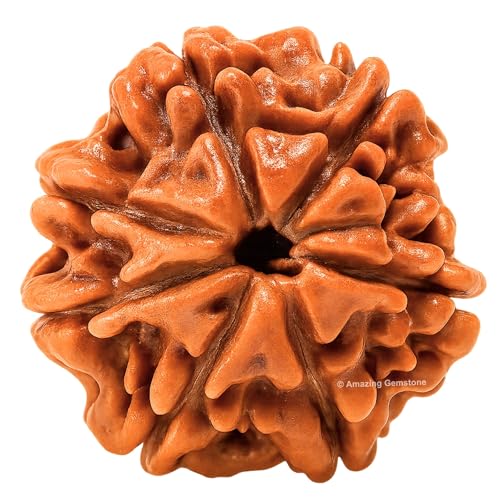 Amazing Gemstone Authentic 7 Mukhi Rudraksha Bead – Natural Nepali Rudraksha for Meditation, Prayer, Protection, Chakra Healing, and Spiritual Growth - color: 7 Mukhi