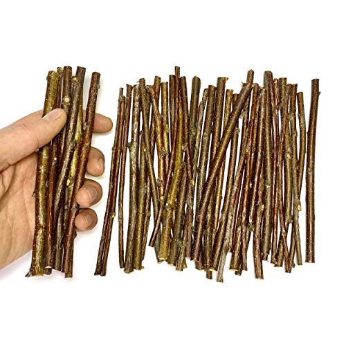 ECOVENIK - 120 Gram - Wood Sticks for Crafts - 6 Inch Birch Wood Craft Sticks - Natural Twigs Sticks for Crafting, DIY School Projects, Card Making, Embellishments & Photo Props - size: pack of 120 grams