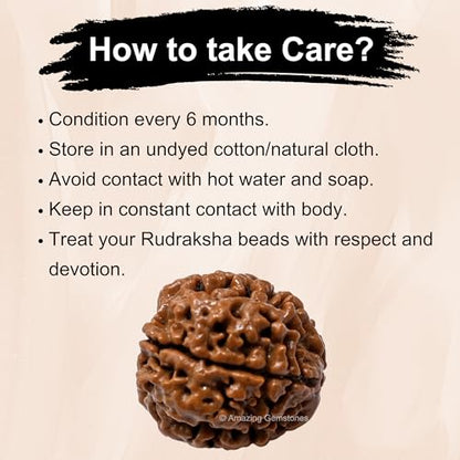 Amazing Gemstone Authentic 4 Mukhi Rudraksha Bead – Natural Nepali Rudraksha for Meditation, Prayer, Protection, Chakra Healing, and Spiritual Growth - color: 4 Mukhi