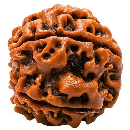 Amazing Gemstone Authentic 5 Mukhi Rudraksha Bead – Natural Nepali Rudraksha for Meditation, Prayer, Protection, Chakra Healing, and Spiritual Growth - color: 5 Mukhi