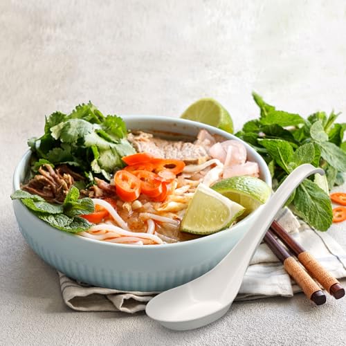 Disposable PLA Cornstarch Asian Soup Spoons with Hook Plastic-Free,600 Pack