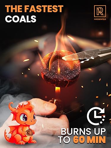 10 pcs Charcoal Tablets for Incense - Hookah Charcoal Hookah Coals for Hooka - Quick Light Charcoal Tablets - 33 mm Premium Quality Incense Charcoals Discs - 10 Charcoal for Incenses Burning - color: 10 Pcs Quick Light Coals