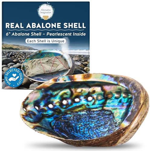 Hand Selected Abalone Shell, 6-Inch+ Polished Smudging & Display Bowl