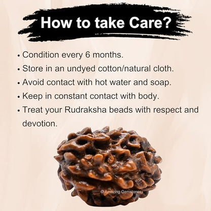 Amazing Gemstone Authentic 3 Mukhi Rudraksha Bead – Natural Nepali Rudraksha for Meditation, Prayer, Protection, Chakra Healing, and Spiritual Growth - color: 3 Mukhi