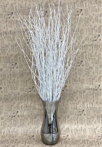 ECOVENIK 25 psc - Branches - 73 cm, Natural Birch Twigs, Pack of 20-25 Stems, Long for Floor vases, (White-Grey ) - size: 25 psc - white grey