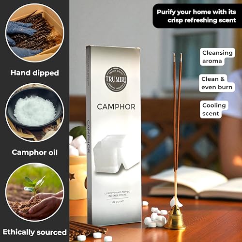 Camphor Incense Sticks - Bulk Pack of 100 Insence-Sticks - Made with Natural Non Toxic Alcanfor Inscent - Scented Incienso Spiritual Insense Incents - color: Camphor