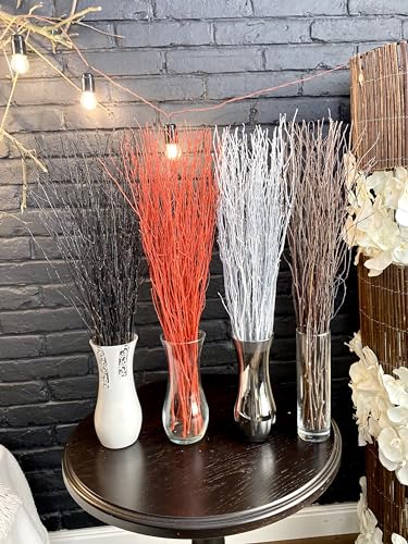 ECOVENIK - 25 psc - Black Birch Branches - 73 cm, Natural Birch Twigs, Pack of 20-25 Stems, Long for Floor vases, 29 inch (Black) - size: 25 psc - black
