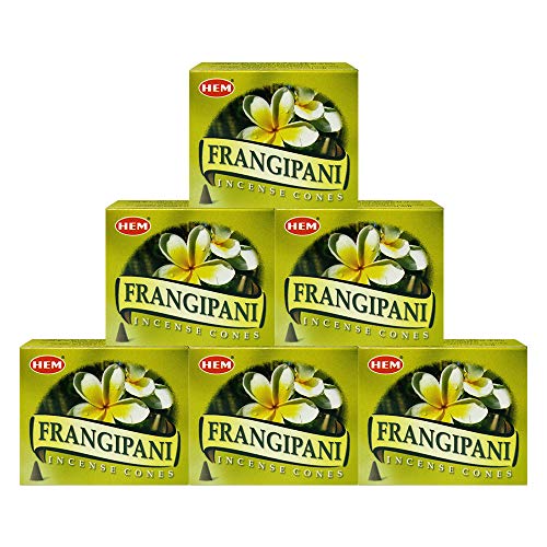 TRUMIRI Incense Cone Holder Bundle with Hem Firangipani Incense Cones - Pack of 6 (Approx 60 Cones) - color: Frangipani
