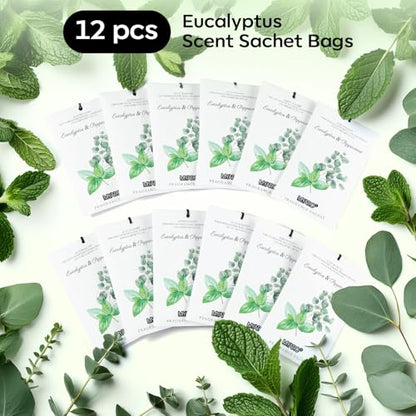 MYARO 12 Pack Eucalyptus Mint Scented Sachets, Closet Deodorizer Freshener - color: Eucalyptus Mint, size: 12 Packs
