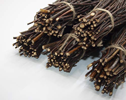 ECOVENIK - 50 psc. Birch Twigs – 100% Natural Decorative Branches for Vases, Centerpieces & DIY Crafts – Birch Sticks for Decorating (16-18 Inch) - size: 50 psc - brown