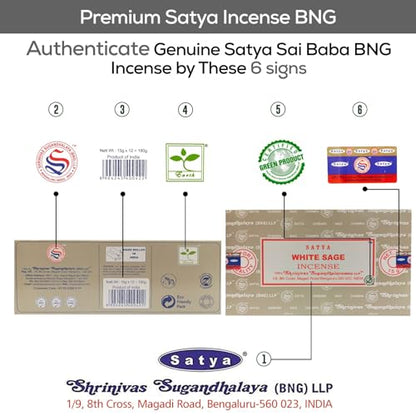 Satya Nag Champa White Sage Incense Sticks, SatyaBng (Bangalore) Insenses 15gmx12 Pack with Raajsee Insence Holder Bundle, Nag Champa Natural Incense - color: White Sage