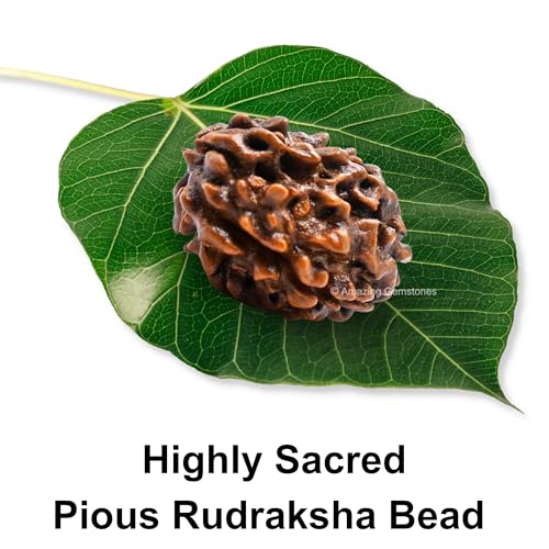 Amazing Gemstone Authentic 3 Mukhi Rudraksha Bead – Natural Nepali Rudraksha for Meditation, Prayer, Protection, Chakra Healing, and Spiritual Growth - color: 3 Mukhi