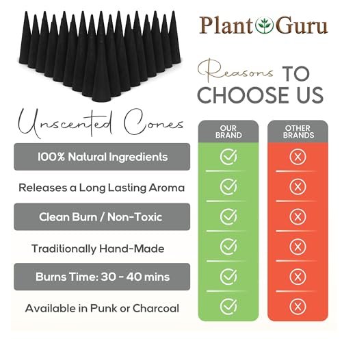 100 Unscented Charcoal Incense Cones 2" TOPFLOW - 100% Natural Blanks - Great for DIY Aromatherapy Incense Making, Burner and Holder