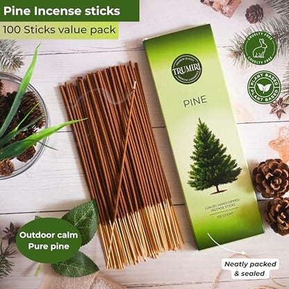 Pine Incense Sticks - Bulk Pack of 100 Insence-Sticks - Made with Natural Pino Oil - Scented Incienso Aromaticos Non Toxic Inscent Insense - color: Pine