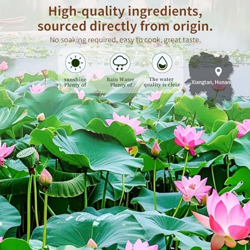 Baihuatang Natural Lotus Seeds for Tea Porridge Natural Dried White Lotus Seeds (Lian Zi) - 300g Herbal Tea & Cooking Ingredient, Perfect for Porridge, Soup, and Traditional Recipes 莲子 百合银耳莲子羹原料