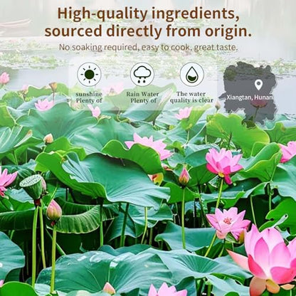 Baihuatang Natural Lotus Seeds for Tea Porridge Natural Dried White Lotus Seeds (Lian Zi) - 300g Herbal Tea & Cooking Ingredient, Perfect for Porridge, Soup, and Traditional Recipes 莲子 百合银耳莲子羹原料