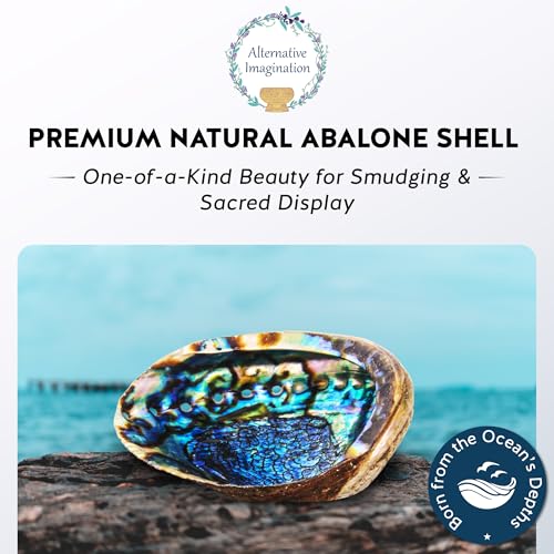 Hand Selected Abalone Shell, 6-Inch+ Polished Smudging & Display Bowl