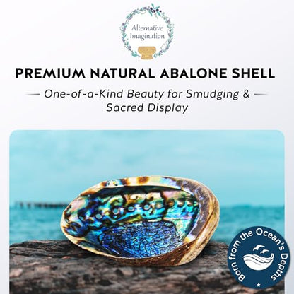 Hand Selected Abalone Shell, 6-Inch+ Polished Smudging & Display Bowl
