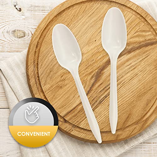PAMI Medium Weight Disposable Plastic Teaspoons,White,Bulk Pack,1000 Count - size: Teaspoons, style: Teaspoons