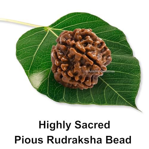 Amazing Gemstone Authentic 7 Mukhi Rudraksha Bead – Natural Nepali Rudraksha for Meditation, Prayer, Protection, Chakra Healing, and Spiritual Growth - color: 7 Mukhi