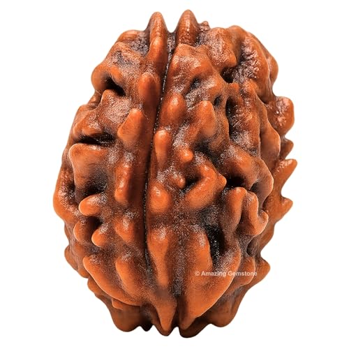 Amazing Gemstone Authentic 3 Mukhi Rudraksha Bead – Natural Nepali Rudraksha for Meditation, Prayer, Protection, Chakra Healing, and Spiritual Growth - color: 3 Mukhi