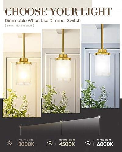 TENGXIN Brushed Gold Pendant Lights Kitchen Island, Frosted Glass Shade - color: Brushed Gold, Linen Frosted Glass, size: 4"