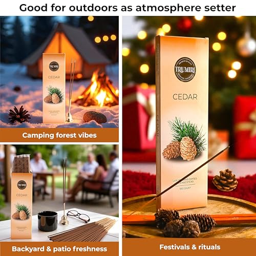 Cedar Incense Sticks - Pack of 100 Insence-Sticks Inciensos Aromaticos - Made with Natural Cedarwood Oil - Scented Insense Non Toxic Inscent Incence - color: Cedar
