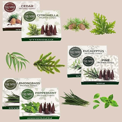 TRUMIRI Leafy Incense Cones - Variety Pack - Total 60 Cone Incense (6 Scents x 10 Conos) - Citronella Lemongrass Eucalyptus Peppermint Cedar Pine - Cone Incense Scents - Insense Cones - Incent Cone - color: Leafy