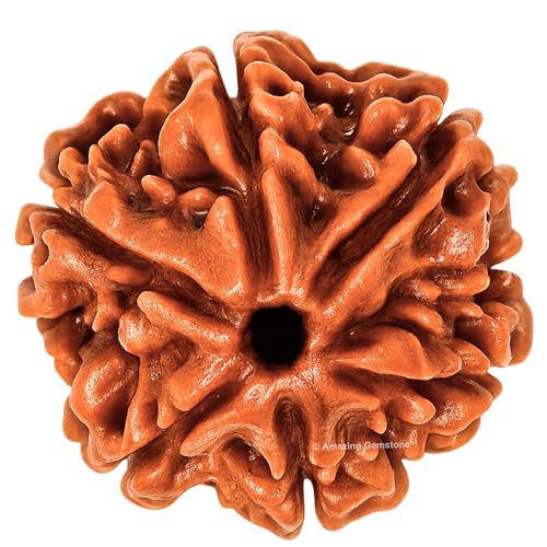 Amazing Gemstone Authentic 6 Mukhi Rudraksha Bead – Natural Nepali Rudraksha for Meditation, Prayer, Protection, Chakra Healing, and Spiritual Growth - color: 6 Mukhi