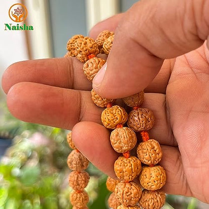 NAISHA 10 MM Rudraksha Mala 108+1 Beads Necklace, Beads Natural Himalaya 5 face Panch Mukhi Rudraksha, Prayer Beads, Wrist Mala Wrap, Jaap Mala (1 Pack)