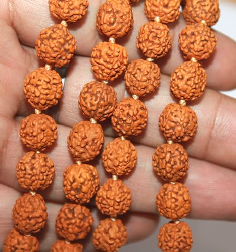 Original 5 Face Rudraksha Mala 108+1 With Certificate & Gaumukhi Japa Mala Bag, Beads Necklace, Seed Bead Natural Himalaya Panch Mukhi Rudraksha Seed, Prayer Beads, Wrist Mala Wrap, Jaap Mala 8MM