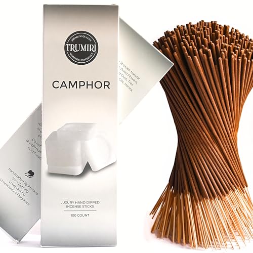 Camphor Incense Sticks - Bulk Pack of 100 Insence-Sticks - Made with Natural Non Toxic Alcanfor Inscent - Scented Incienso Spiritual Insense Incents - color: Camphor