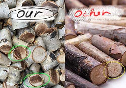 ECOVENIK - Mini Wood Logs 150 Gram in Pack - Original Craft Wood Sticks, vase Filler, Birch Small Wood Log, Rustic Home Decor - size: pack of 150 grams