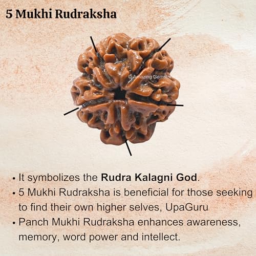 Amazing Gemstone Authentic 5 Mukhi Rudraksha Bead – Natural Nepali Rudraksha for Meditation, Prayer, Protection, Chakra Healing, and Spiritual Growth - color: 5 Mukhi
